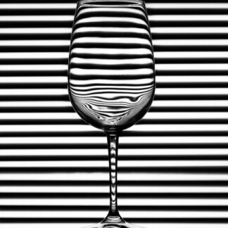 Image of Zebra Glass by Noel Fenech Photography